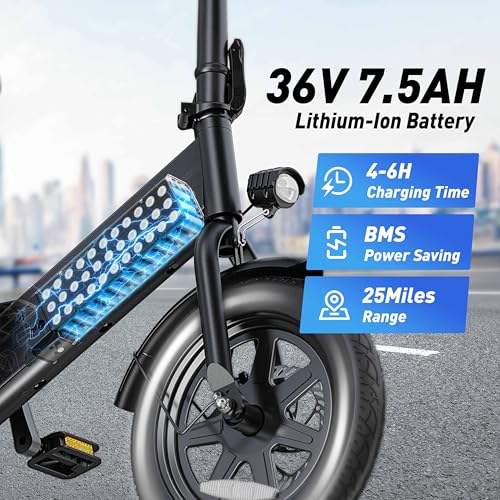 Folding Electric Bicycle with 350W Motor and 36V 7.5Ah Battery O6756