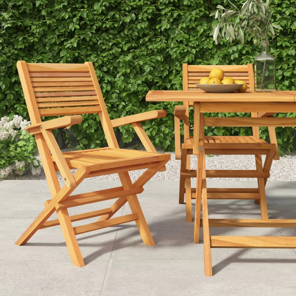 Solid Wood Teak Folding Patio Chairs, Pack of 2 L8578