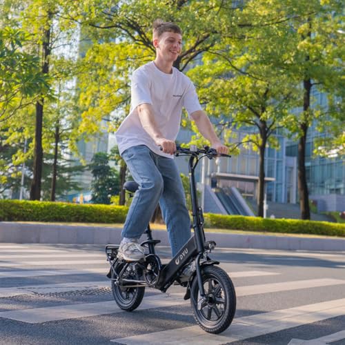 Folding Electric Bicycle with 350W Motor and 36V 7.5Ah Battery O6756