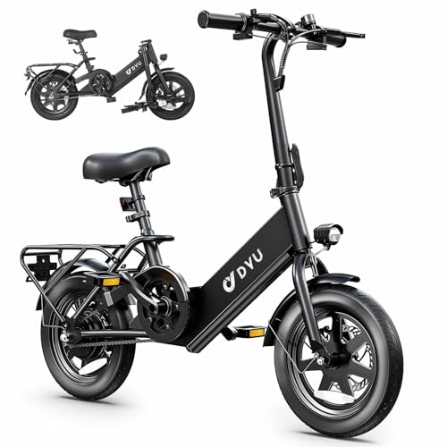 Folding Electric Bicycle with 350W Motor and 36V 7.5Ah Battery O6756