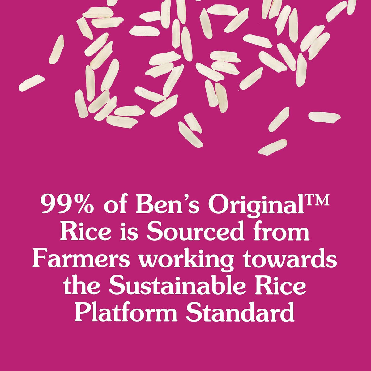 Enriched Long Grain White Rice, 10 lb Bag W425