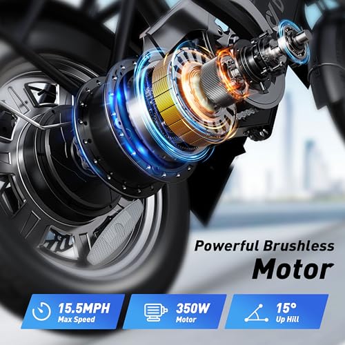 Folding Electric Bicycle with 350W Motor and 36V 7.5Ah Battery O6756